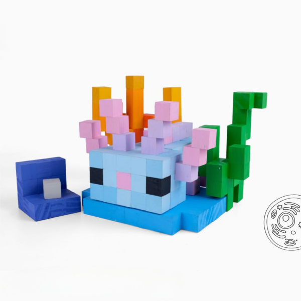 Minecraft Axolotl Wood Model- Blue -Minecraft Figures