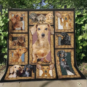 Dachshund Love You Better Quilt Blanket DHC31121779TD , 50 x 60 Inch, Quilt Bed Set