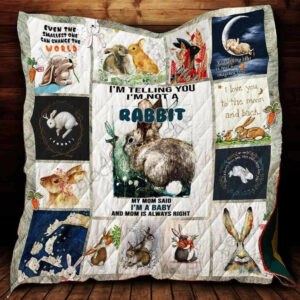 Rabbit Quilt Blanket DHC13121917VT , Quilt Bed Set Size Single, Twin, Full, Queen, King, Super King