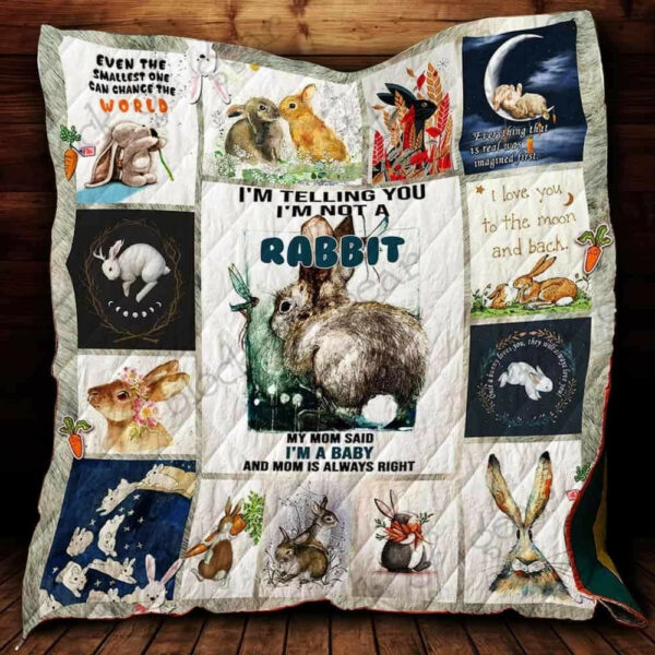 Rabbit Quilt Blanket Dhc13121917Vt , Quilt Bed Set Size Single, Twin, Full, Queen, King, Super King