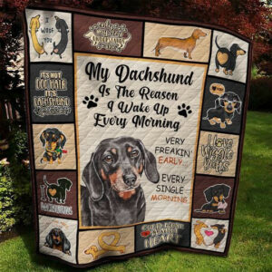 Dachshund DTC0412622 Quilt Blanket , 50 x 60 Inch, Quilt Bed Set