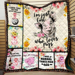 Pig Three Pigs Ago GS-CL-DT3006 Quilt Blanket , 50 x 60 Inch, Quilt Bed Set