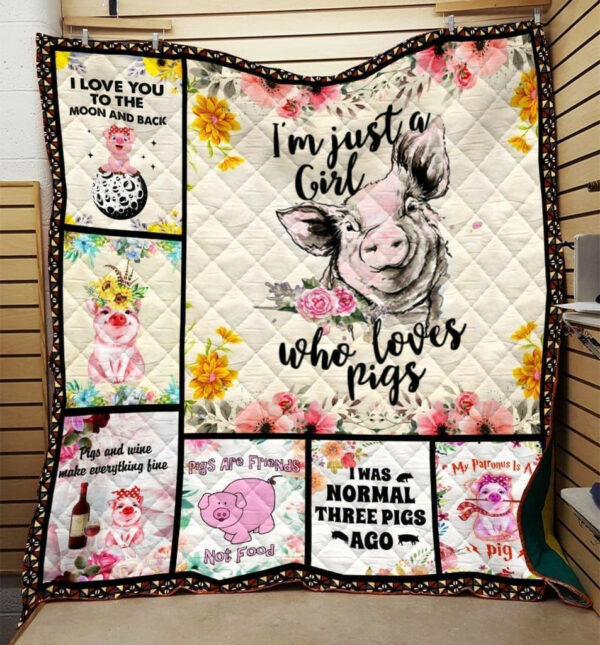 Pig Three Pigs Ago Gs-Cl-Dt3006 Quilt Blanket , 50 X 60 Inch, Quilt Bed Set
