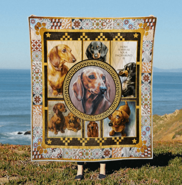 Dachshund Love Live Bark Quilt Blanket Dhc31121747Td , 50 X 60 Inch, Quilt Bed Set