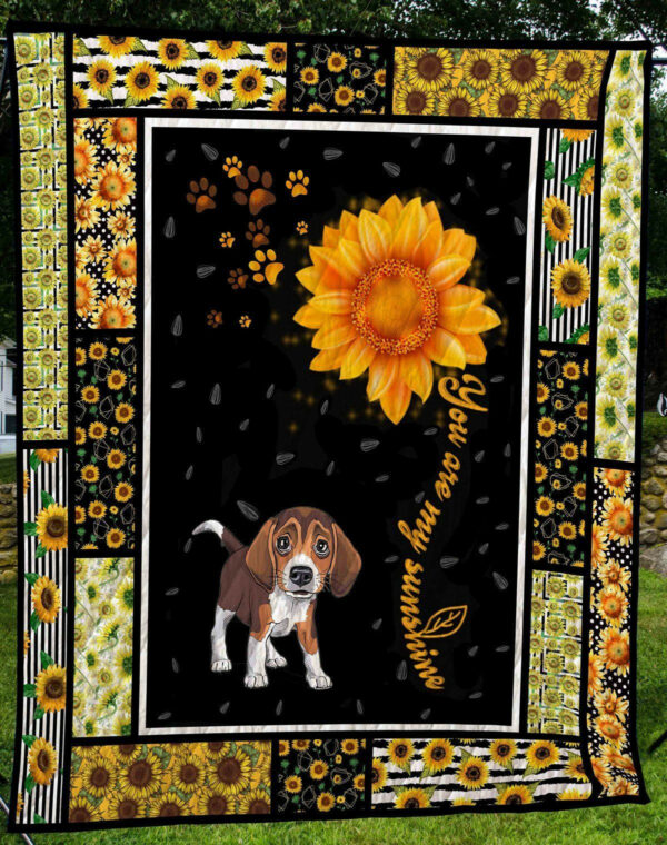 Dachshunds Cute Quilt Blanket Dhc09121687Dd , 50 X 60 Inch, Quilt Bed Set