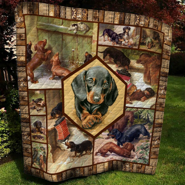 Dachshund Quilt Blanket Bbb260697Nb , 50 X 60 Inch, Quilt Bed Set