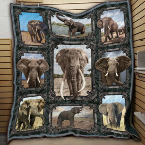 Elephant Elephant L2711 Quilt Blanket Dhc04011044Dd , 50 x 60 Inch, Quilt Bed Set