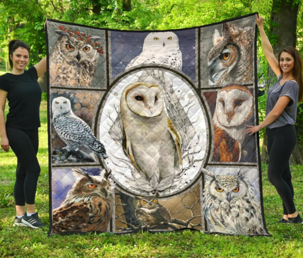 Owl This Is Big Love Quilt Blanket Dhc3112731Td , 50 X 60 Inch, Quilt Bed Set