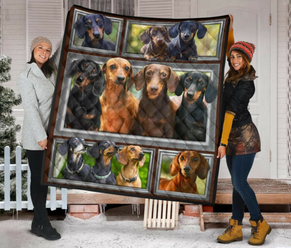 Dachshund Quilt Blanket Dhc09121365Dd , 50 X 60 Inch, Quilt Bed Set