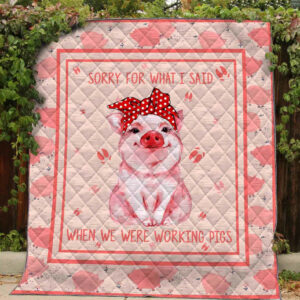 Pig Sorry For What I Said Quilt Blanket Dhc03011487Dd , 50 x 60 Inch, Quilt Bed Set