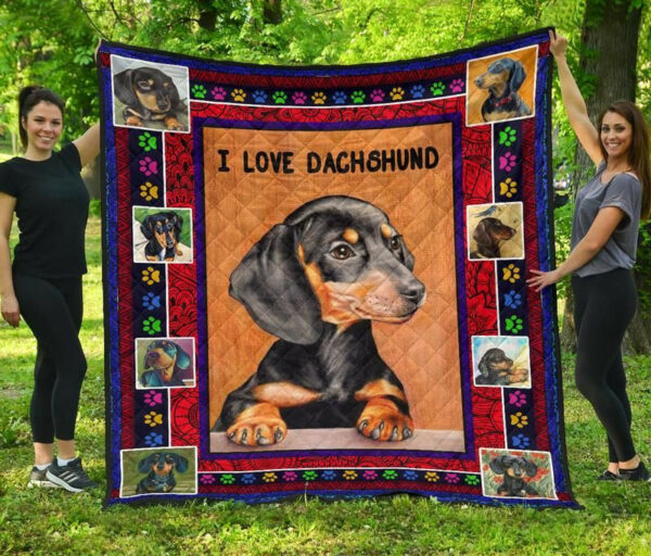 Dachshund Really Really Bl Quilt Blanket Dhc0201201277Td , 50 X 60 Inch, Quilt Bed Set