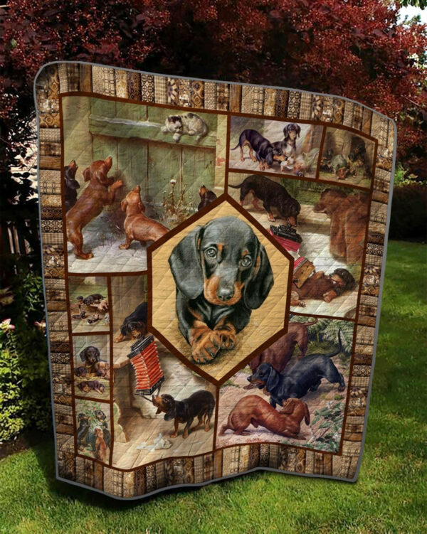 Dachshund Say Your Name Quilt Blanket Dhc03011641Dd , 50 X 60 Inch, Quilt Bed Set