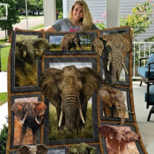 Elephant 01 Elephant 0609 Quilt Blanket Dhc03011519Dd , 50 x 60 Inch, Quilt Bed Set