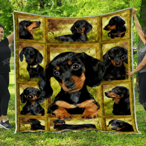 Dachshund Love Is Punishment Quilt Blanket Dhc04011492Dd , 50 x 60 Inch, Quilt Bed Set