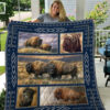 Mermaid Quilt Blanket Dhc06021080Td , 50 X 60 Inch, Quilt Bed Set