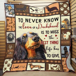 Dachshund To Never Know Quilt Blanket Christmas Christmas Gifts Merry Christmas Holiday Gifts Gift Dhc03011727Dd , 50 x 60 Inch, Quilt Bed Set