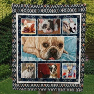 Pug Sucker Sucker Sucker Quilt Blanket DHC0201201184TD , 50 x 60 Inch, Quilt Bed Set