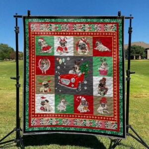 Pug TD2809746 Quilt Blanket , Quilt Bed Set Size Single, Twin, Full, Queen, King, Super King