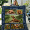 Donkey 3D Printing Quilt Blanket Pm-Qct00008  Size Single, Twin, Full, Queen, King, Super King